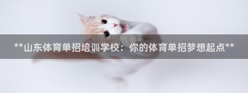 富联平台选 585341 平台：**山东体育单招培训