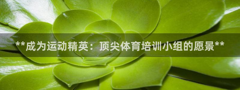 富联平台奇7O777：**成为运动精英：顶尖体育培训