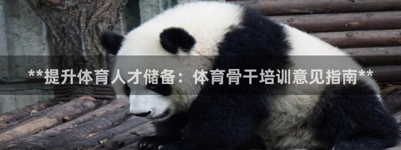 富联平台登录注册不了：**提升体育人才储备：体育骨干