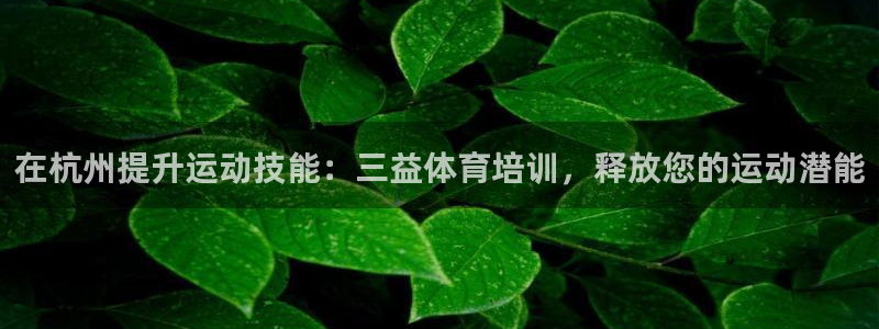 富联网是什么意思：在杭州提升运动技能：三益体育培训，