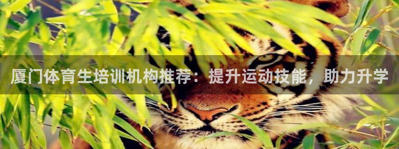 富联平台微信怎么提现：厦门体育生培训机构推荐：提升运