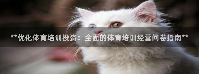 富联官网注册流程：**优化体育培训投资：全面的体育培