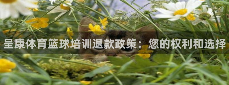 富联申购上市价格预测：呈康体育篮球培训退款政策：您的
