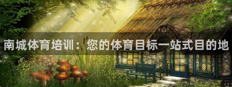 富联官方网站下载安装：南城体育培训：您的体育目标一站