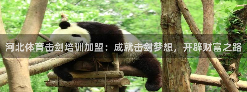 富联娱乐下载官网：河北体育击剑培训加盟：成就击剑梦想
