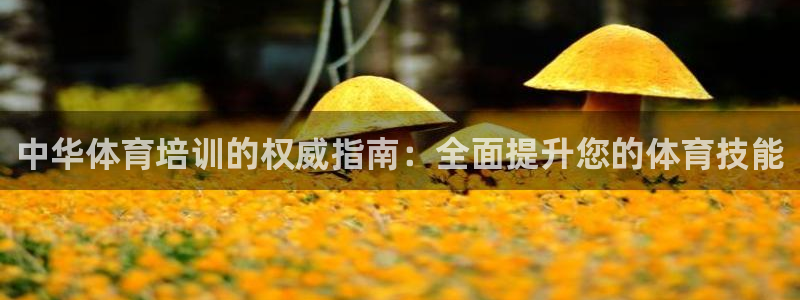 富联平台系 5O6917 富联：中华体育培训的权威指