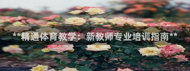 富联平台登录网址是多少：**精通体育教学：新教师专业