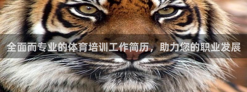 富联官网代理系列是正品吗：全面而专业的体育培训工作简