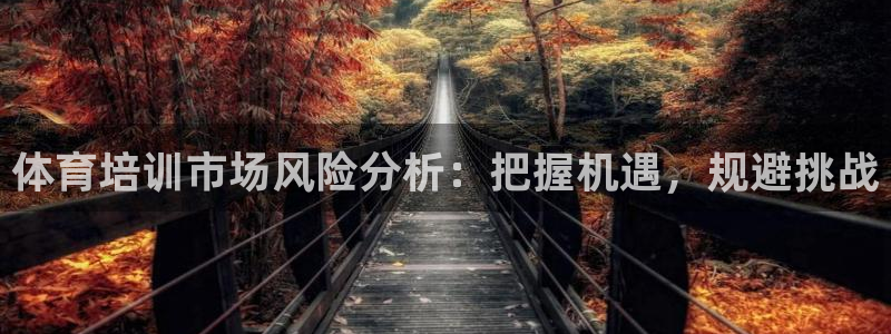富联申购上市价格预测最新：体育培训市场风险分析：把握