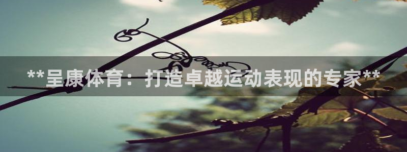富联娱乐代理怎么做：**呈康体育：打造卓越运动表现的