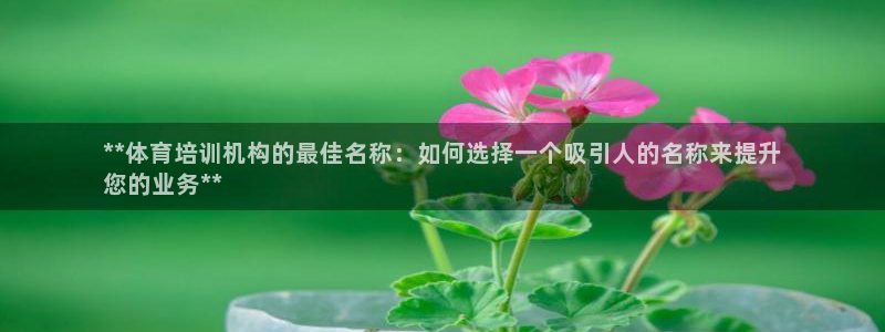 富联平台非7O777：**体育培训机构的最佳名称：如