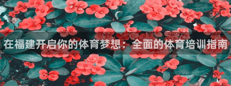富联平台挂机：在福建开启你的体育梦想：全面的体育培训