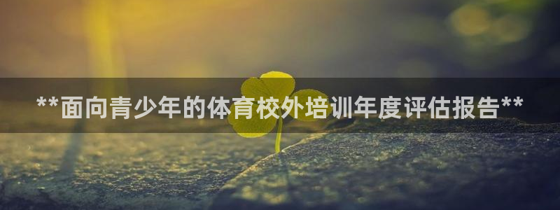 富联平台总代理电话：**面向青少年的体育校外培训年度