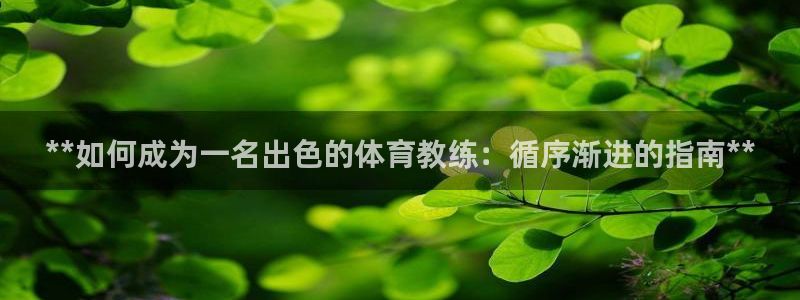 富联金融：**如何成为一名出色的体育教练：循序渐进的
