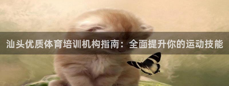 富联娱乐护7O777：汕头优质体育培训机构指南：全面