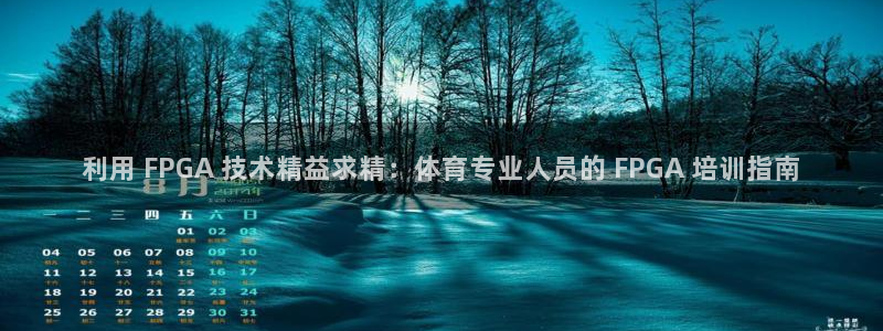 富联娱乐代理怎么做：利用 FPGA 技术精益求精：体