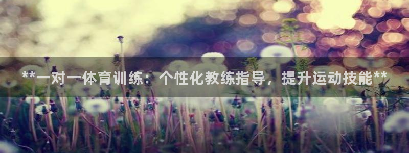 富联娱乐平台开户条件有哪些：**一对一体育训练：个性