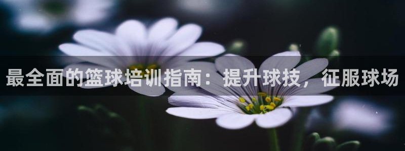 富联平台寇 37oo735：最全面的篮球培训指南：提