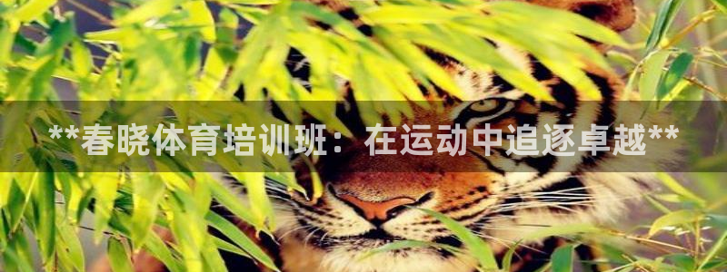 富联娱乐在线注册链接是什么：**春晓体育培训班：在运