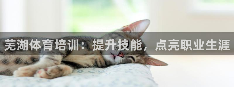 富联平台安装流程：芜湖体育培训：提升技能，点亮职业生