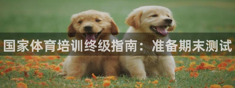 富联平台挂机赚钱：国家体育培训终级指南：准备期末测试