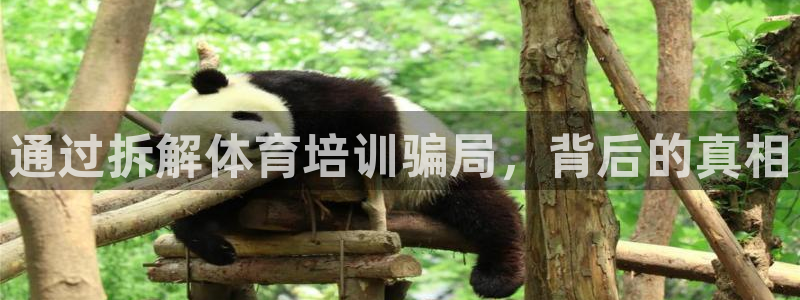 富联平台网站是什么：通过拆解体育培训骗局，背后的真相