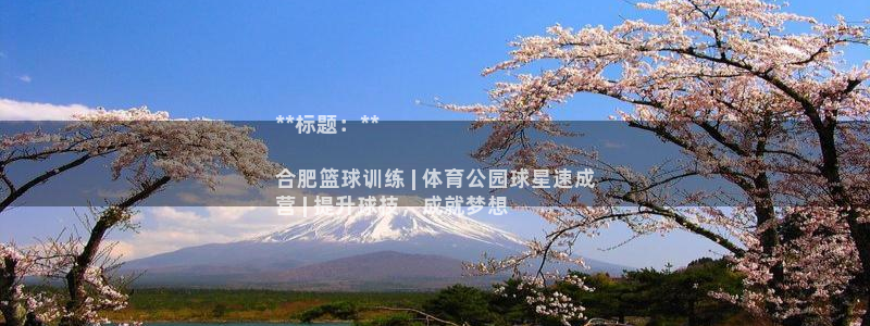富联娱乐平台开户流程及时间：**标题：**

合肥篮