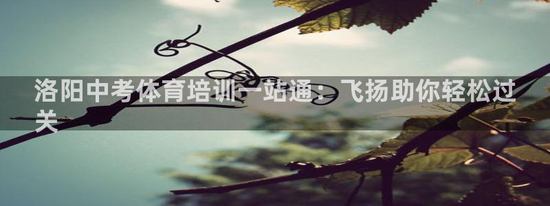 富联网是什么意思：洛阳中考体育培训一站通：飞扬助你轻