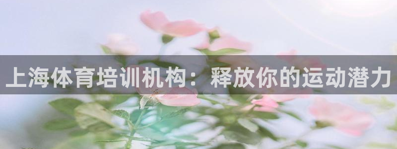 富联集团最新消息股价：上海体育培训机构：释放你的运动