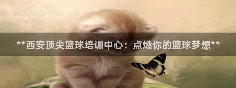 深圳富联智能制造产业创新中心：**西安顶尖篮球培训中