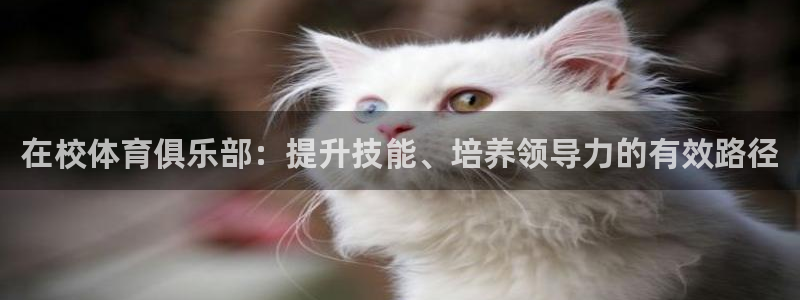 富联娱乐客服微信怎么加：在校体育俱乐部：提升技能、培养领导力