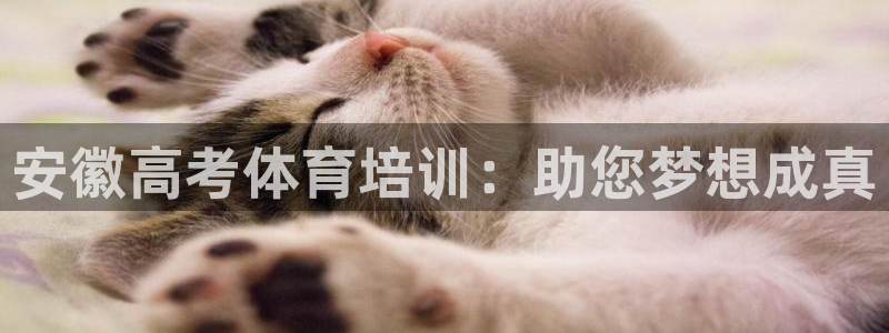 富联平台网站是什么：安徽高考体育培训：助您梦想成真