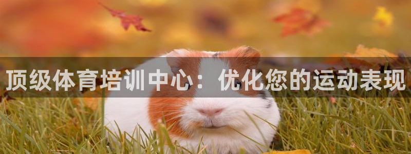 富联平台飞 411o31 富联：顶级体育培训中心：优