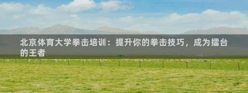 富联食品加工厂：北京体育大学拳击培训：提升你的拳击技巧，成为