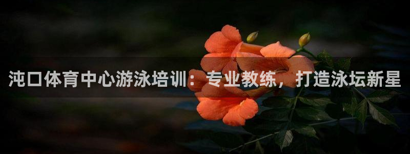 富联平台登录注册账号：沌口体育中心游泳培训：专业教练，打造泳