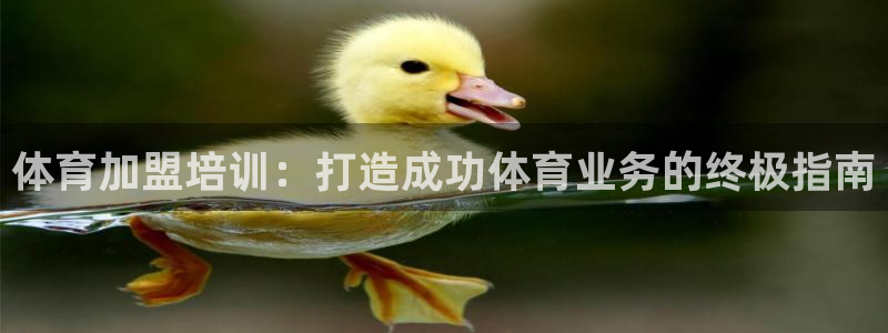 富联娱乐股东结构：体育加盟培训：打造成功体育业务的终极指南