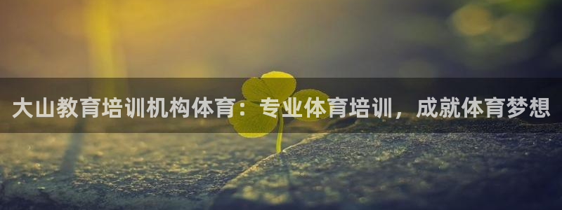 富联集团董事长：大山教育培训机构体育：专业体育培训，