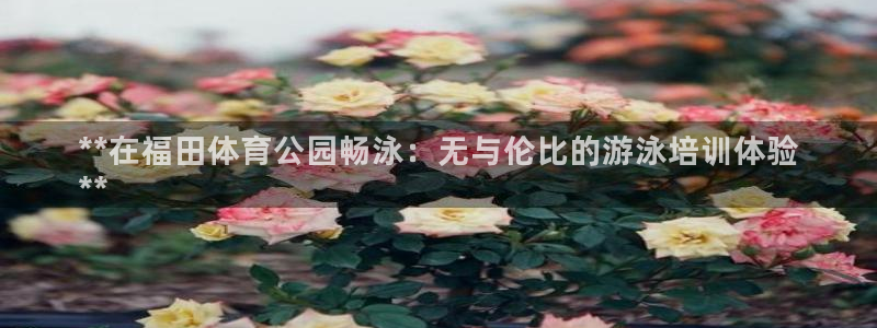 富联娱乐测速地址：**在福田体育公园畅泳：无与伦比的