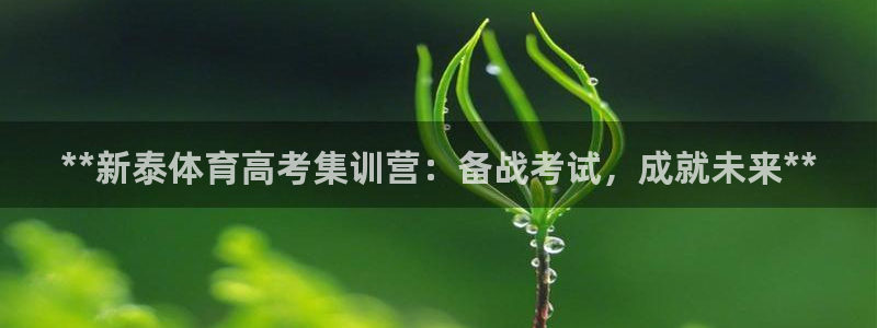富联平台代理注册流程：**新泰体育高考集训营：备战考