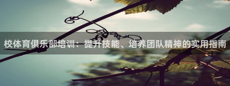 富联科技上市了吗：校体育俱乐部培训：提升技能、培养团