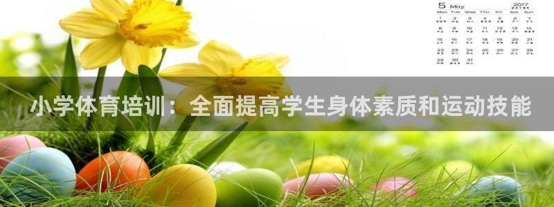 富联娱乐总代理： 小学体育培训：全面提高学生身体素质