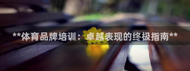 富联娱乐服务站怎么样：**体育品牌培训：卓越表现的终