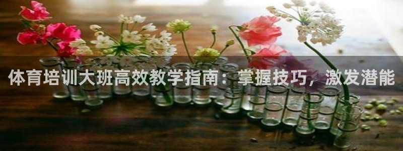 富联官网登陆：体育培训大班高效教学指南：掌握技巧，激