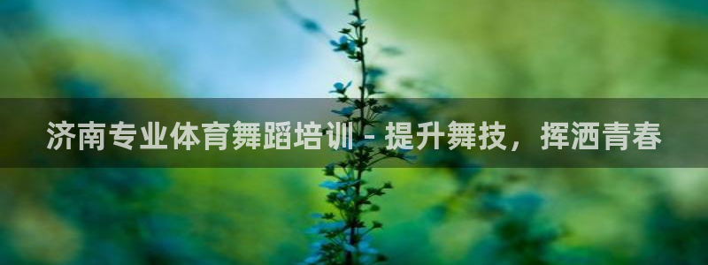 富联平台开户条件：济南专业体育舞蹈培训 - 提升舞技
