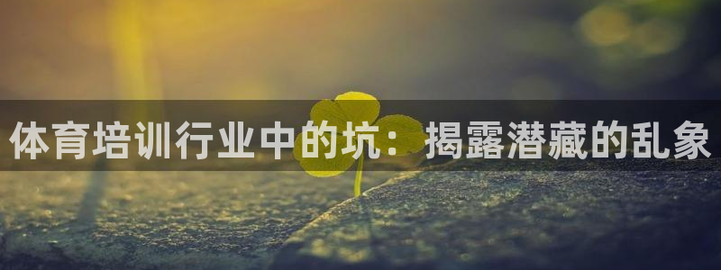 富联股份股票代码：体育培训行业中的坑：揭露潜藏的乱象