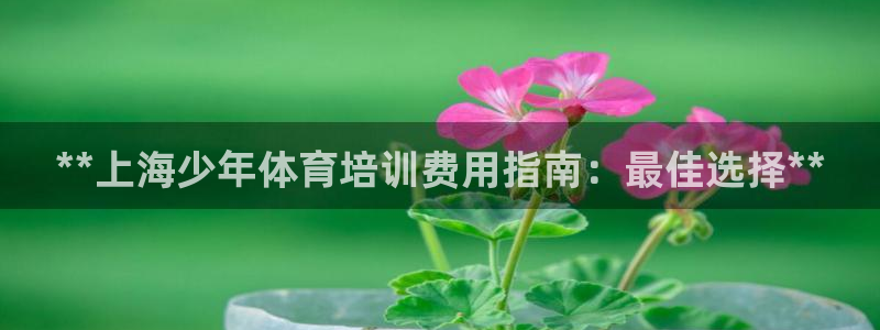 富联娱乐平台开户条件有哪些：**上海少年体育培训费用