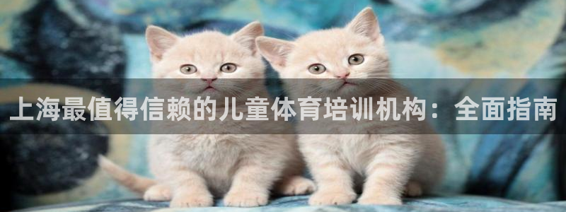 富联集团做什么的呀：上海最值得信赖的儿童体育培训机构：全面指