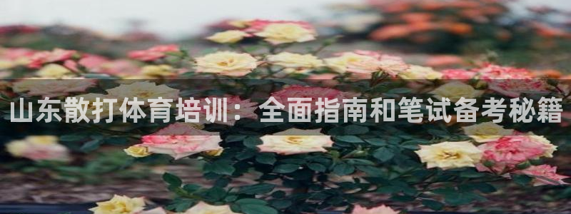 富联官方网站下载安装手机版：山东散打体育培训：全面指
