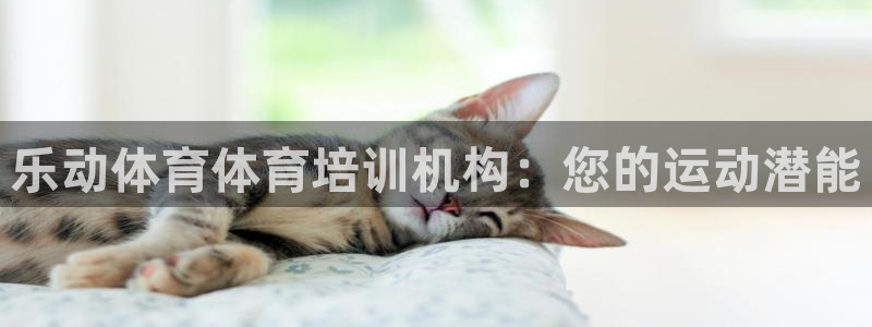 富联网是什么意思：乐动体育体育培训机构：您的运动潜能