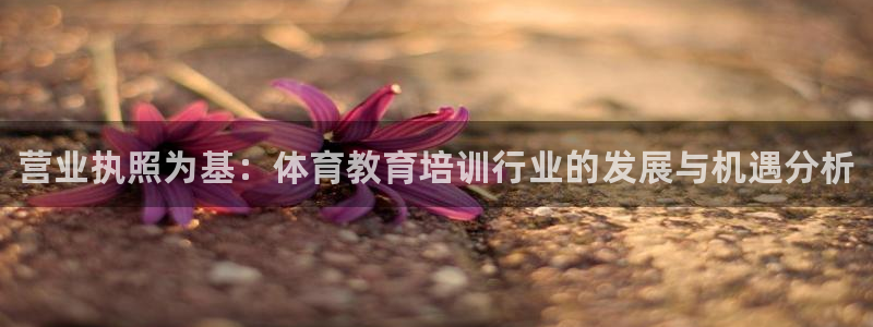 富联平台推 411031 富联